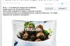 Recept Pečené masové kuličky Köttbullar IKEA se smetanovou omáčkou - masové kuličky Köttbullar IKEA - tisková zpráva